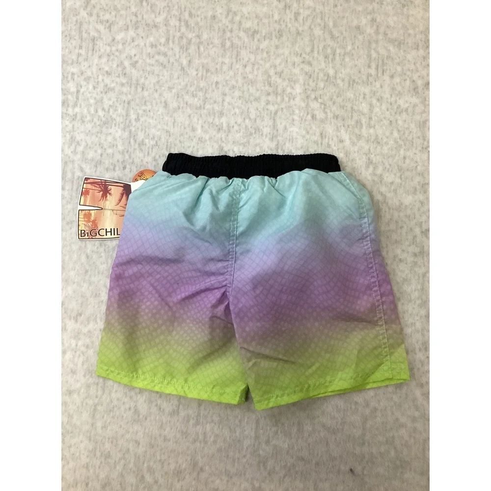 Big Chill Boys Ombre Swim Trunks Blue Purple Green UPF‎ 50 Size 4 BB829491-LIM